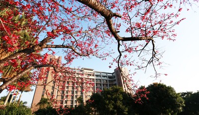 學校宿舍實景圖片