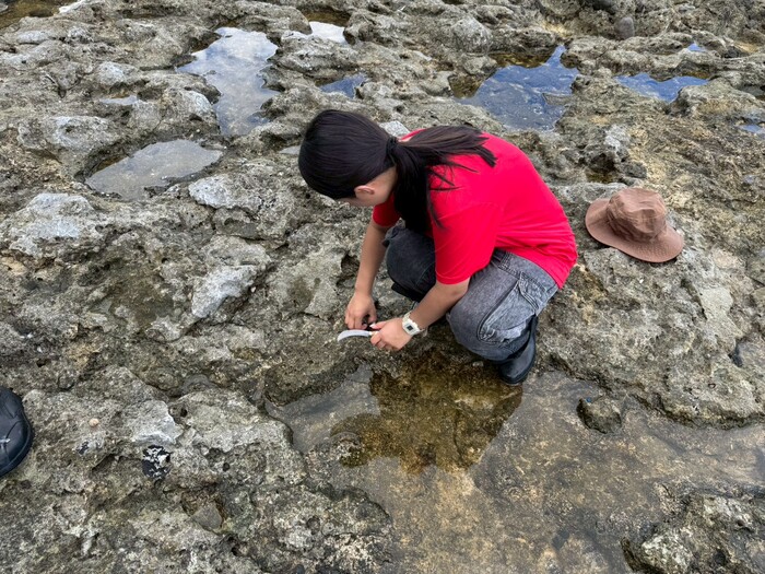 蘭嶼文化學習營圖片