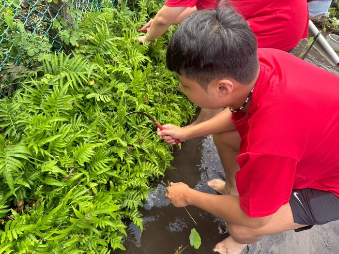 蘭嶼文化學習營圖片