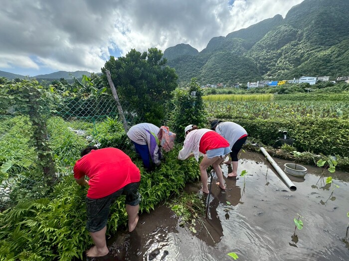 蘭嶼文化學習營圖片